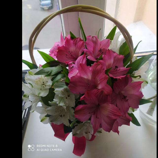 photo_5