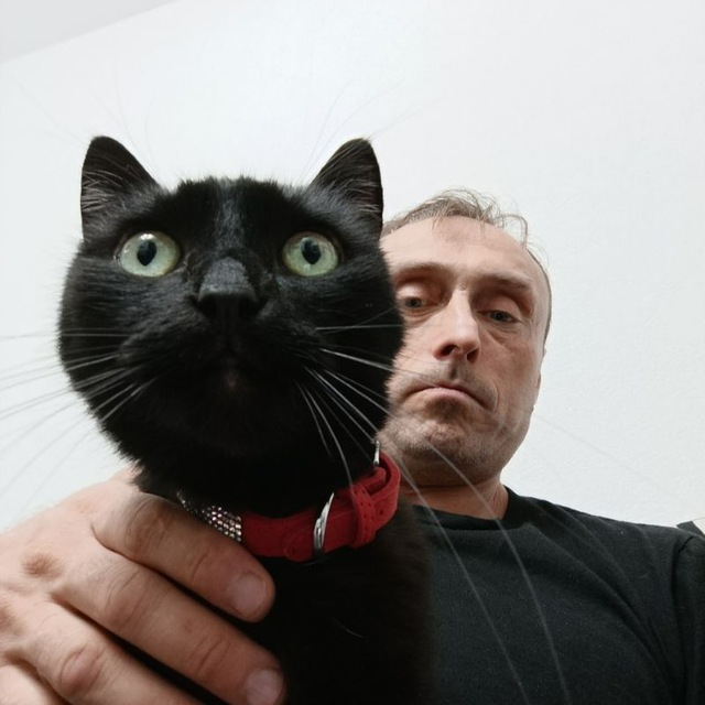 photo_3