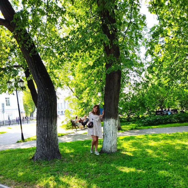 photo_11