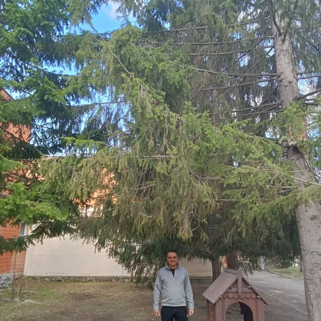 photo_3