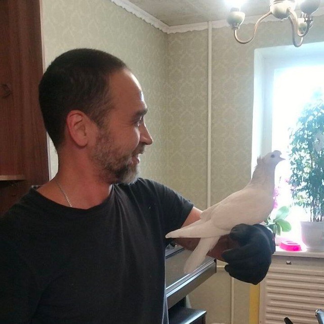 photo_2