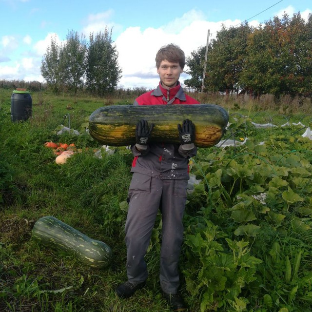 photo_4