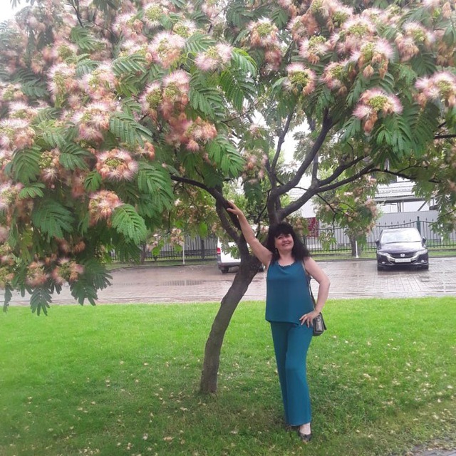photo_1