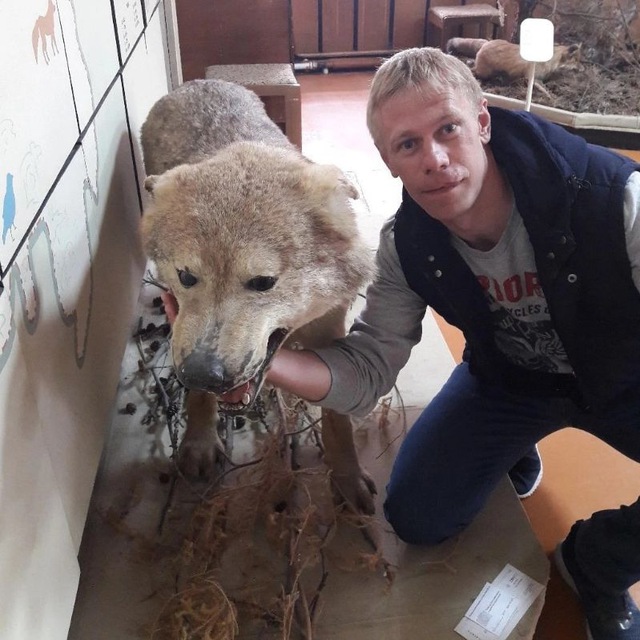 photo_6