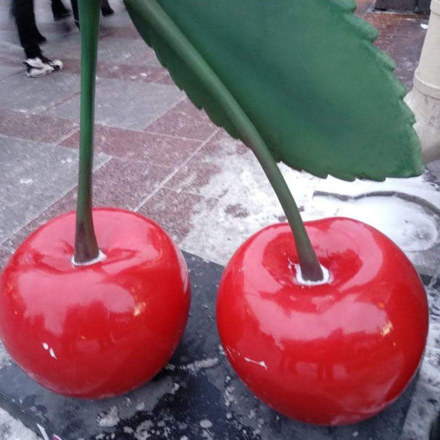 photo_9